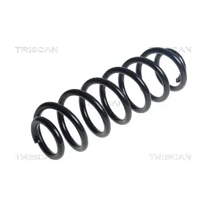6163543 TRISCAN