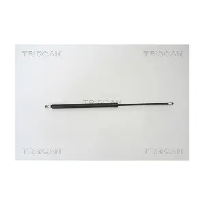 8710 50241 TRISCAN