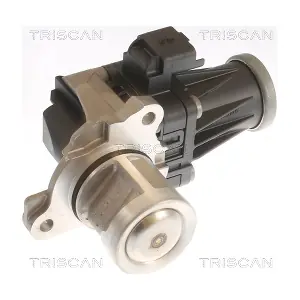 TRISCAN 8813 10053