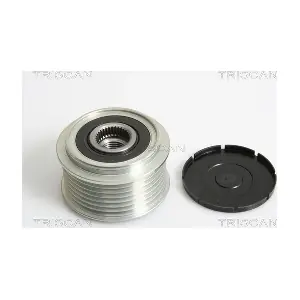 8641 252017 TRISCAN