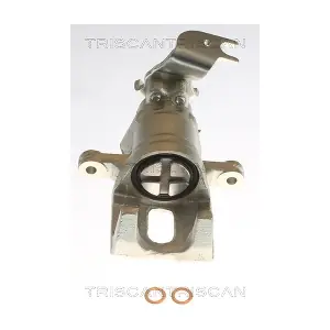TRISCAN 8175 40206