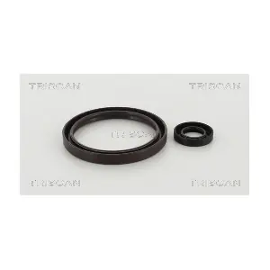 8550 29008 TRISCAN