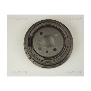 TRISCAN 8120 24203