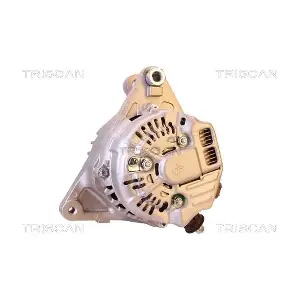 8310 13047 TRISCAN
