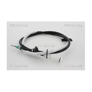 20111 TRISCAN