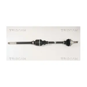 8540 28613 TRISCAN