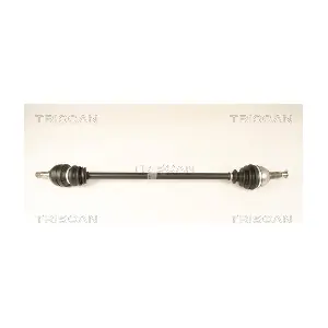 8540 24556 TRISCAN