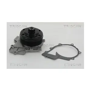 TRISCAN 860023061