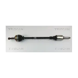 8540 28594 TRISCAN