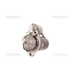 8305 25006 TRISCAN