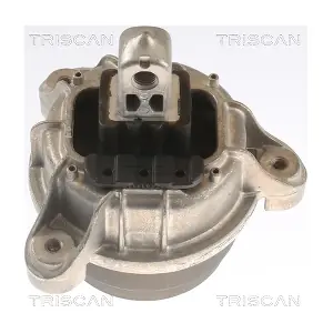 8505 11118 TRISCAN