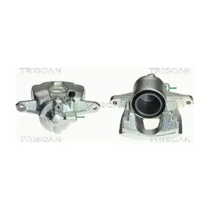 TRISCAN 8170344055
