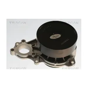 860011065 TRISCAN