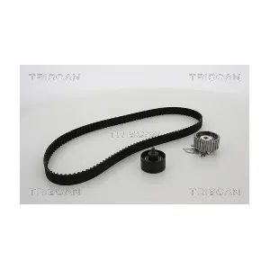 TRISCAN 8647 12001