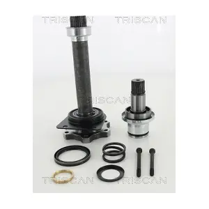 8540 295001 TRISCAN