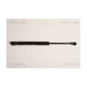 8710 17213 TRISCAN