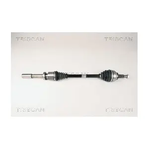8540 25606 TRISCAN