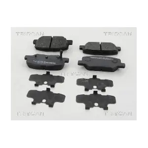 TRISCAN 8110 10601