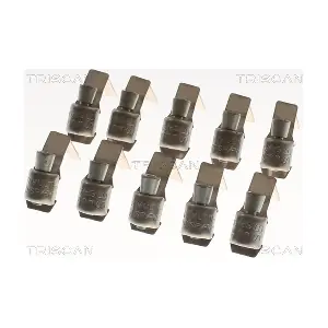 2390010 TRISCAN