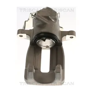 8175 292013 TRISCAN