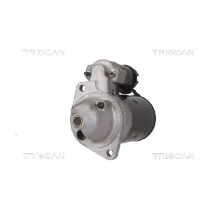 TRISCAN 8305 10008
