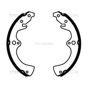 TRISCAN 8100 10036