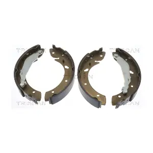 810013624 TRISCAN