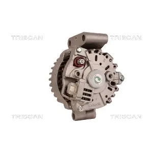 TRISCAN 8310 10048