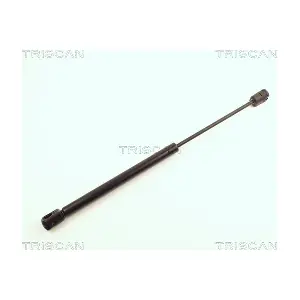 8710 24217 TRISCAN