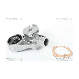 TRISCAN 860067001