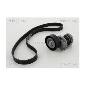 8642 29011 TRISCAN