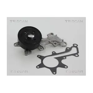 TRISCAN 860013018