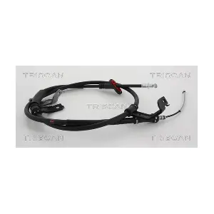 814018168 TRISCAN