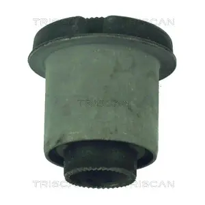 162790 TRISCAN