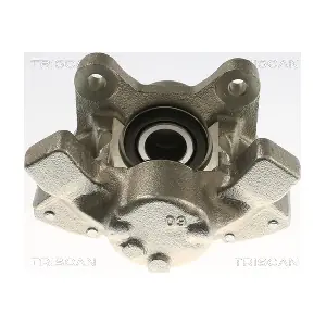 TRISCAN 8175 27224