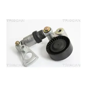 TRISCAN 8641 113033