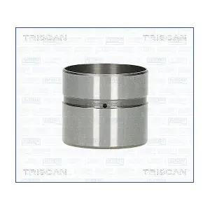 80-43002 TRISCAN