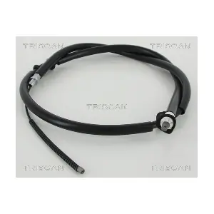 814010161 TRISCAN