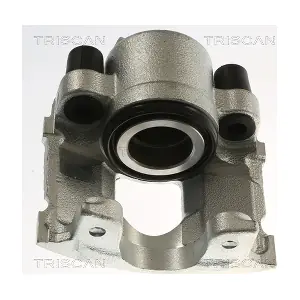 TRISCAN 8175 16105