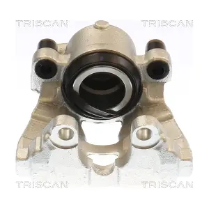TRISCAN 8175 10131