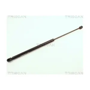 8710 2411 TRISCAN