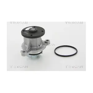 TRISCAN 860043020