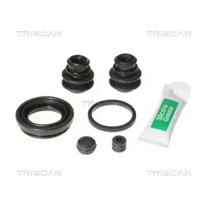 8170 203023 TRISCAN
