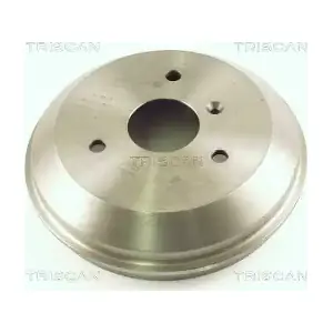 8120 23205 TRISCAN
