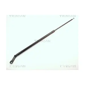 8710 11206 TRISCAN