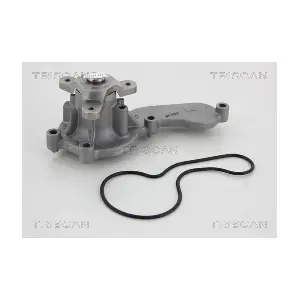 TRISCAN 860040119