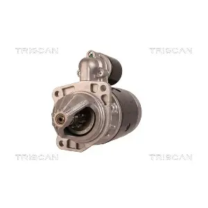 TRISCAN 8305 29071