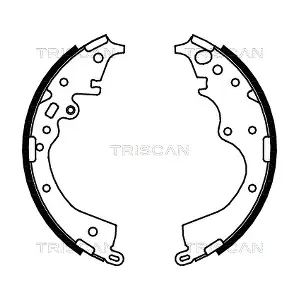 TRISCAN 810013043