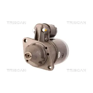 TRISCAN 8305 29028