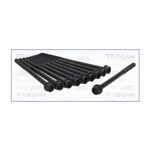 TRISCAN 98-1009